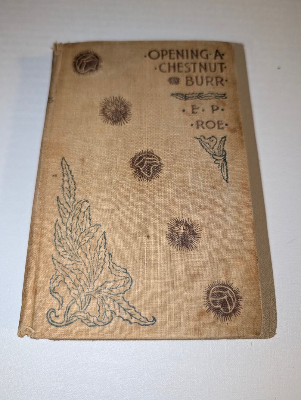 1885 'Opening a Chestnut Burr' E.P. Roe Antique Hardcover Small Book - Dodd Mead